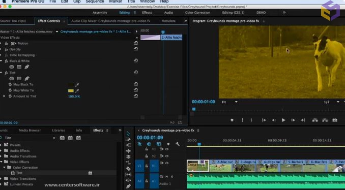 کار با افکت‌ها در آموزش جامع Premiere Pro
